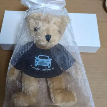 렉서스 테디베어