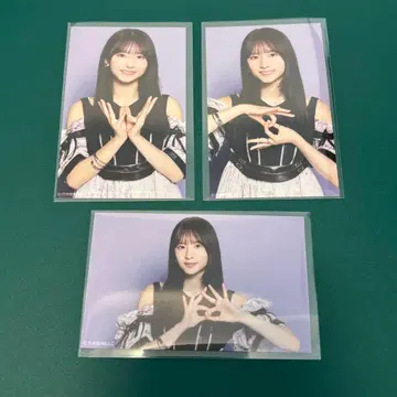 노기자카46 스가와라 사츠키 Same numbers 미니 브로마이드 컴프