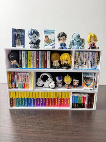 콩 도서용 디스플레이 책장