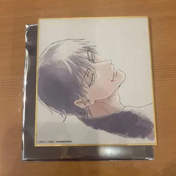 주술회전전 후시구로 토우지 미니 색지