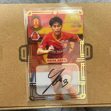 사토 요다 온사이트 카드