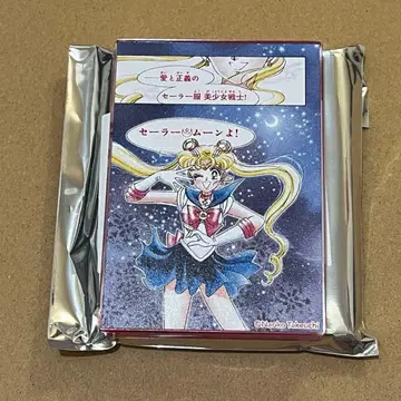 세일러문 카페 아크릴 블록 A 츠키노 우사기