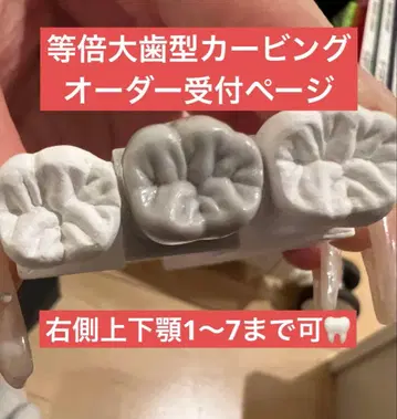 실물 크기 치아 형태 카빙 오더 접수 페이지