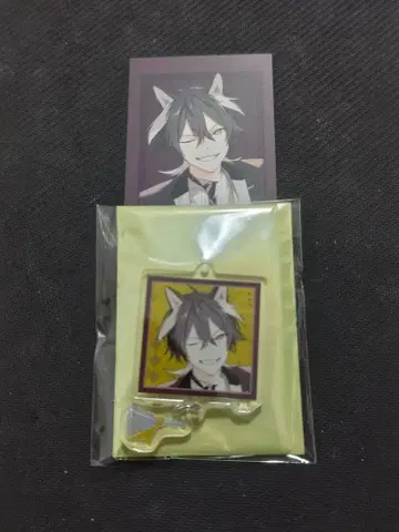 오토후유 오토마 포토 카드 아크릴 키링 하니브 엘리야