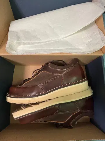 플랫 헤드 코도반 레이스업 슈즈 25.5cm