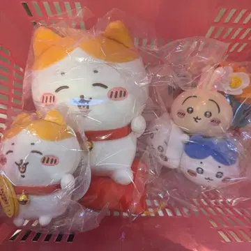 치이카와 랜드 시메나와 봉제 인형 설날 하치와레 토끼