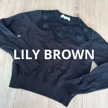 릴리 브라운 니트 풀오버