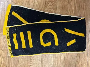 니시카와 타카노리 TNNK VOYAGE 투어 머플러 타월