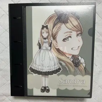 진로우 저지먼트 캔뱃지 산드라 제니카 메리 100점 이상