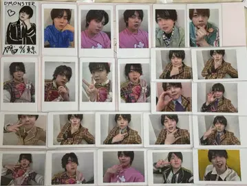 나기 팬더드래곤 하피카