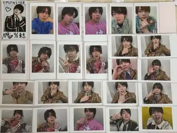 나기 팬더드래곤 하피카