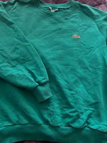 Lacoste 그린 트레이닝복