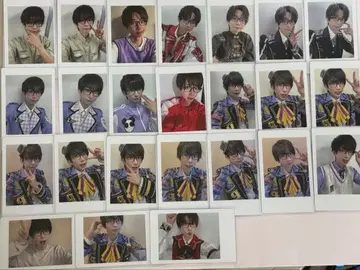 나루키 팬더 드래곤 하피카