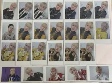 요타 팬더드래곤 하피카