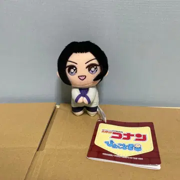 명탐정 코난 삐요코토모 우에하라 유이 나가노현경