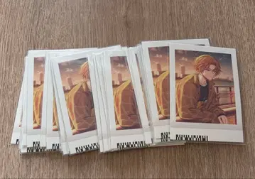 나나키 파샤코레 트리레보 전 33점