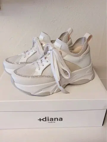 +diana [ 발수 가공 ] 다이애나 리사이클 니트 콤비 스니커즈