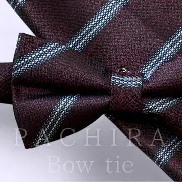 - 나비 넥타이, 치프, 스트라이프, 남성용, 블랙 수트, 넥타이