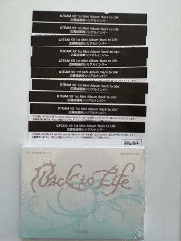 &TEAM 시리얼 10장