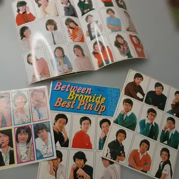 쇼와 56년 애니메이션 성우 핀업집