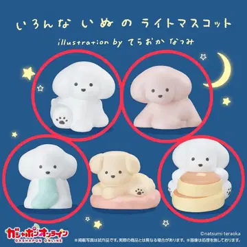 여러 가지 강아지 라이트 마스코트 테라오카 나츠미 가챠가챠