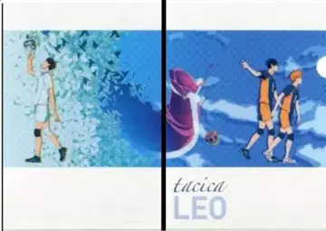 하이큐 카게야마 히나타 오이카와 클리어 파일 애니메이트 구매 혜택