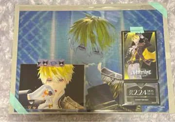 니지페스 OVERTURE 데카 카드 티켓 브로마이드 써니