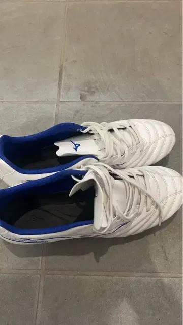 미즈노 모나르시다 축구 스파이크