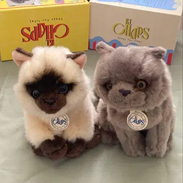 B.T. Chaps 고양이 봉제 인형 세트