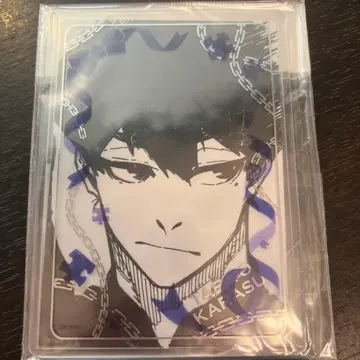 블루 록 경질 케이스&브로마이드 우라시마 류세이