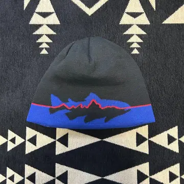 레어 파타고니아 송어 비니 피츠로이 레어