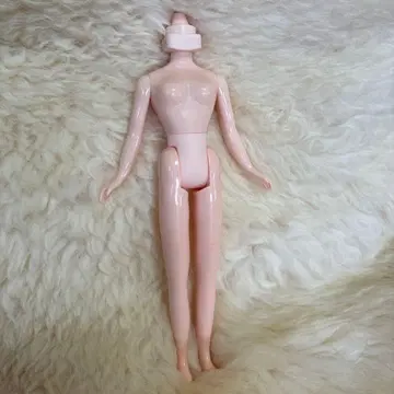 브라이스, 정품 바디, 미사용