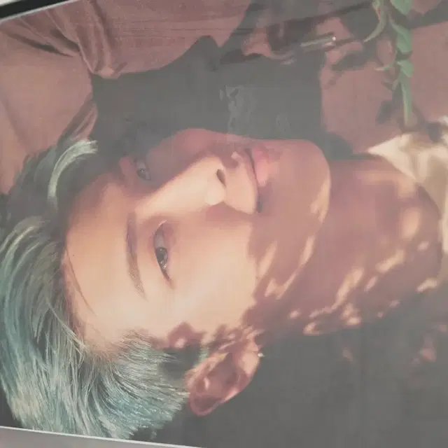 방방탄소년단(BTS) 앨범 포스터 일괄판매 / 보관통 포함