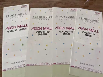 이온 플로어 가이드 효고