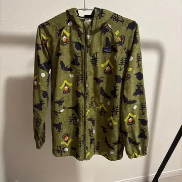 파타고니아 마운틴 파카