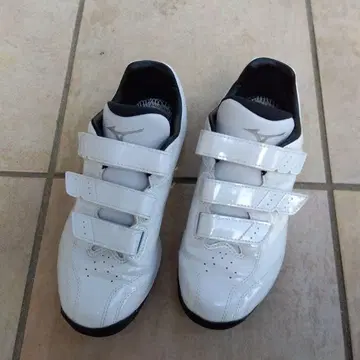 미즈노 야구 트레이닝 슈즈 라이트레보 트레이너 24.5cm