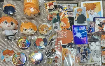 하이큐 히나타 히나타 쇼요 캔뱃지 봉제 인형 카드