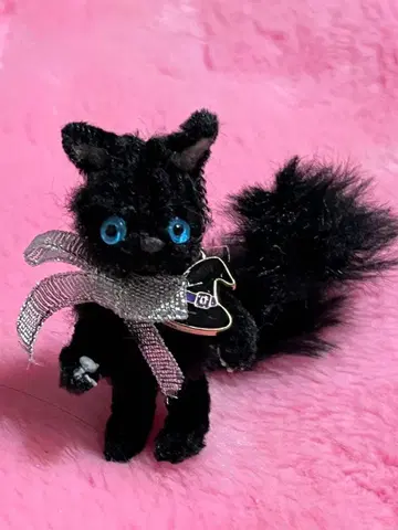 몰 블랙 고양이 브라이스 체리짱 리카짱