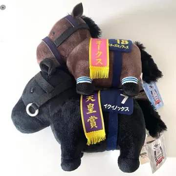 이퀴녹스 스타즈 온 어스