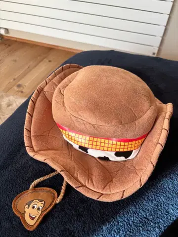 우디 디즈니 팬캡