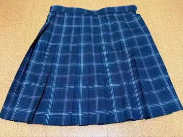 아스카 미라이 키즈나 여름옷 스커트