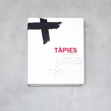 Tapies In Perspective 안토니 타피에스
