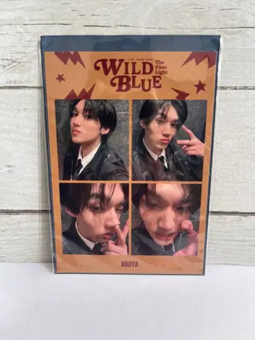 WILDBLUE FC 가입 혜택 스즈카와 나오야