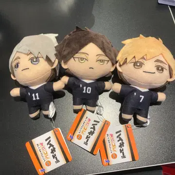 하이큐 미니컬렉션 봉제 인형 마스코트 5 3종 세트