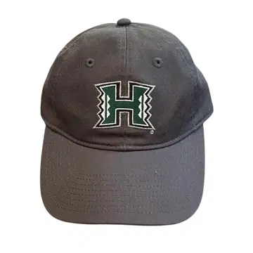 하와이 대학 캡 모자 그레이 1회 착용