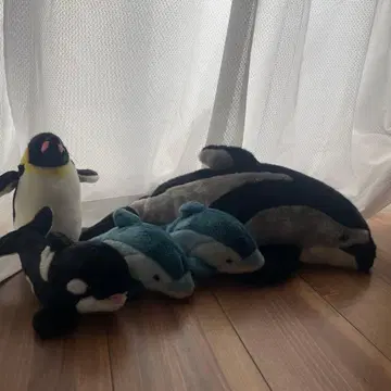 돌고래 3마리 범고래 펭귄 봉제 인형 세트 수족관