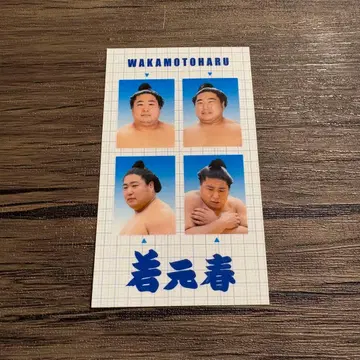 스모 와카모토하루 증명사진풍 스티커