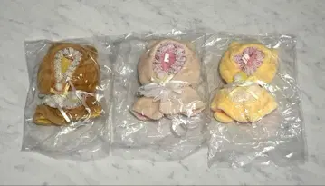 고양이 케이프 베이비 올스타 묶음 판매