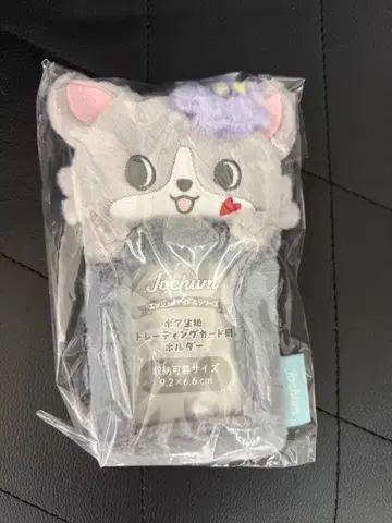 츄라라 JOCHUM 트레이딩 카드 케이스 산리오