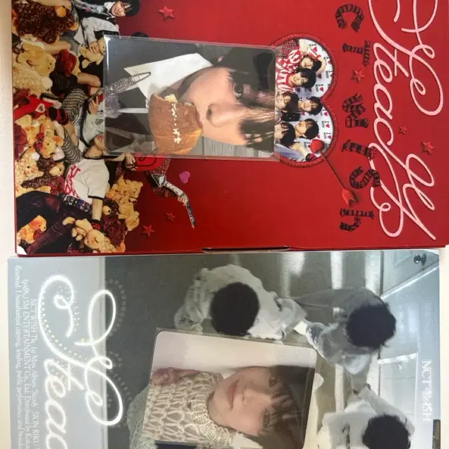 스테디 앨범 판매